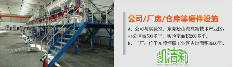 凱潔莉洗衣粉洗滌劑生產(chǎn)設(shè)備及車(chē)間